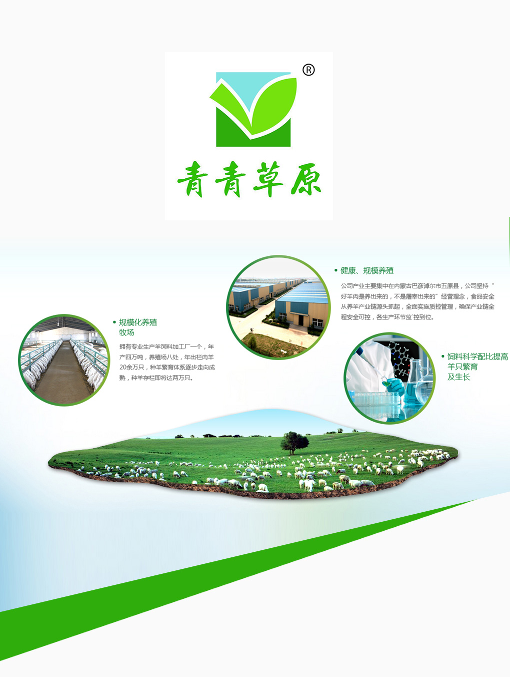 图片加载失败